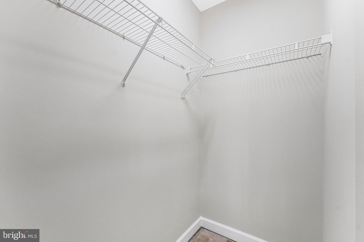 9546 Lagersfield Cir Property Photo 19