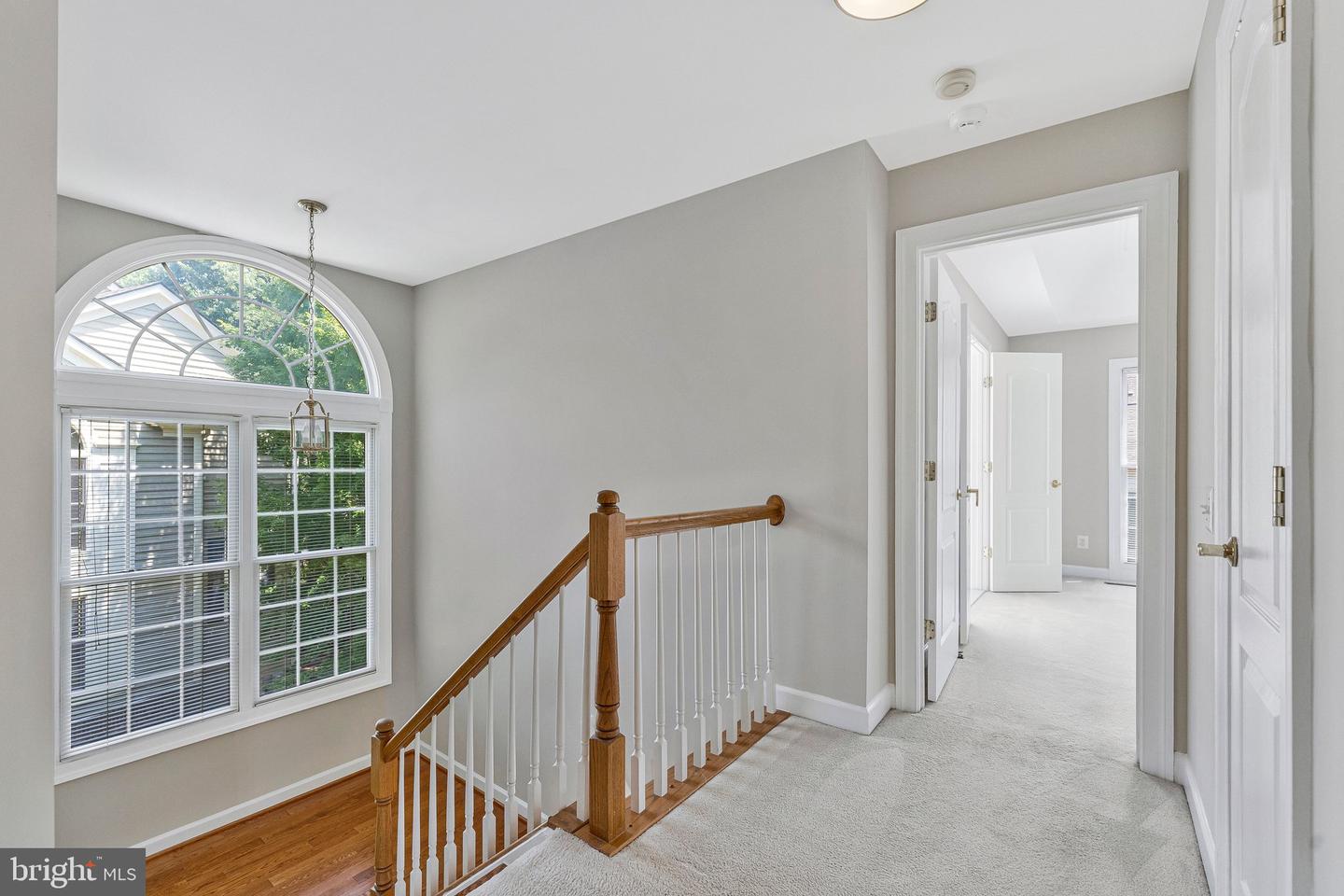 9546 Lagersfield Cir Property Photo 20