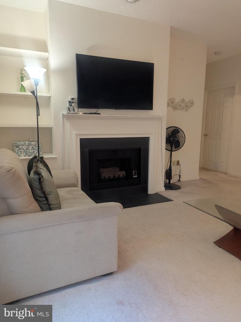 14301 Grape Holly Grv #14 Property Photo 6