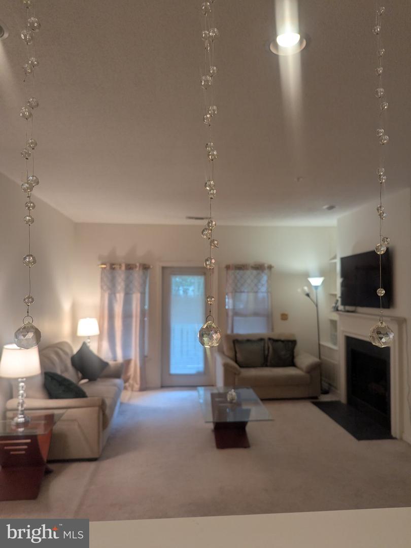 14301 Grape Holly Grv #14 Property Photo 16