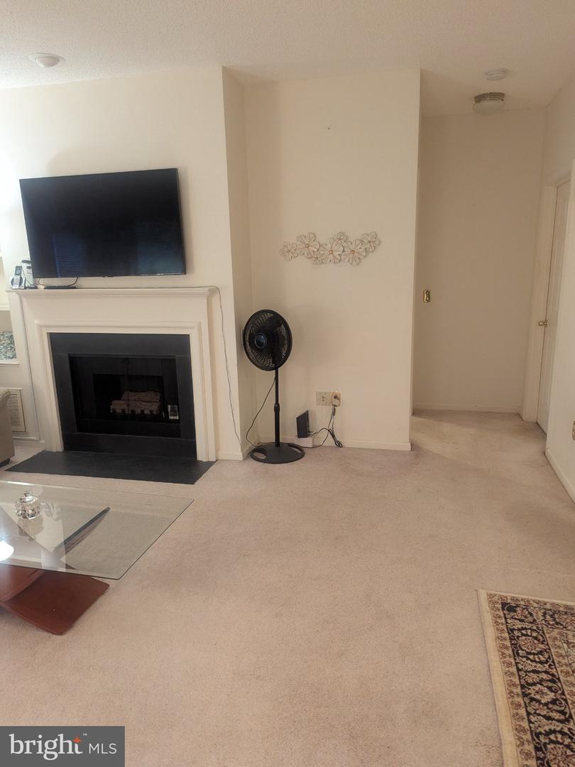 14301 Grape Holly Grv #14 Property Photo 18