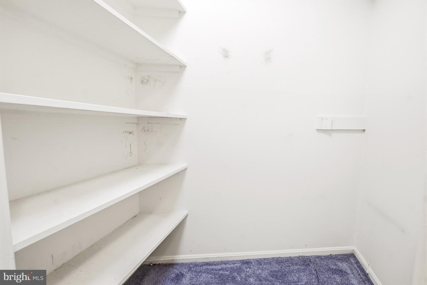 5904 Mount Eagle Dr #114 Property Photo 24