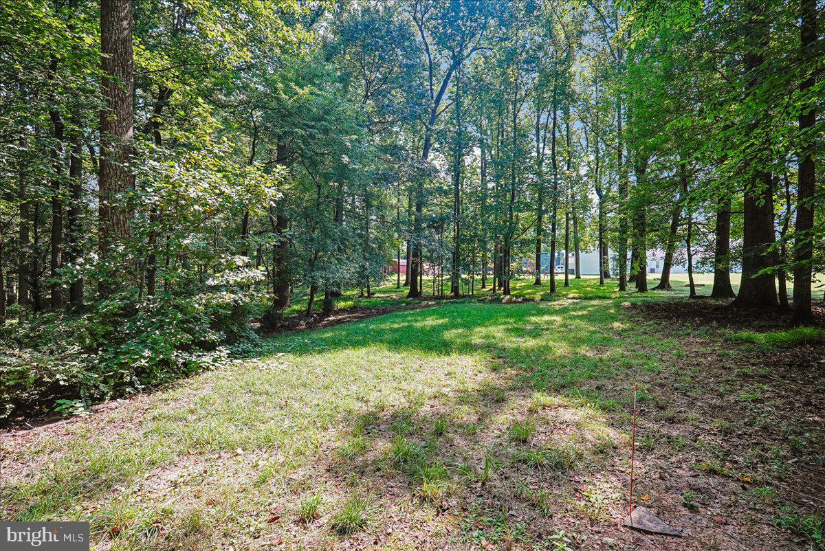 3415 Miller Heights Rd Property Photo 81