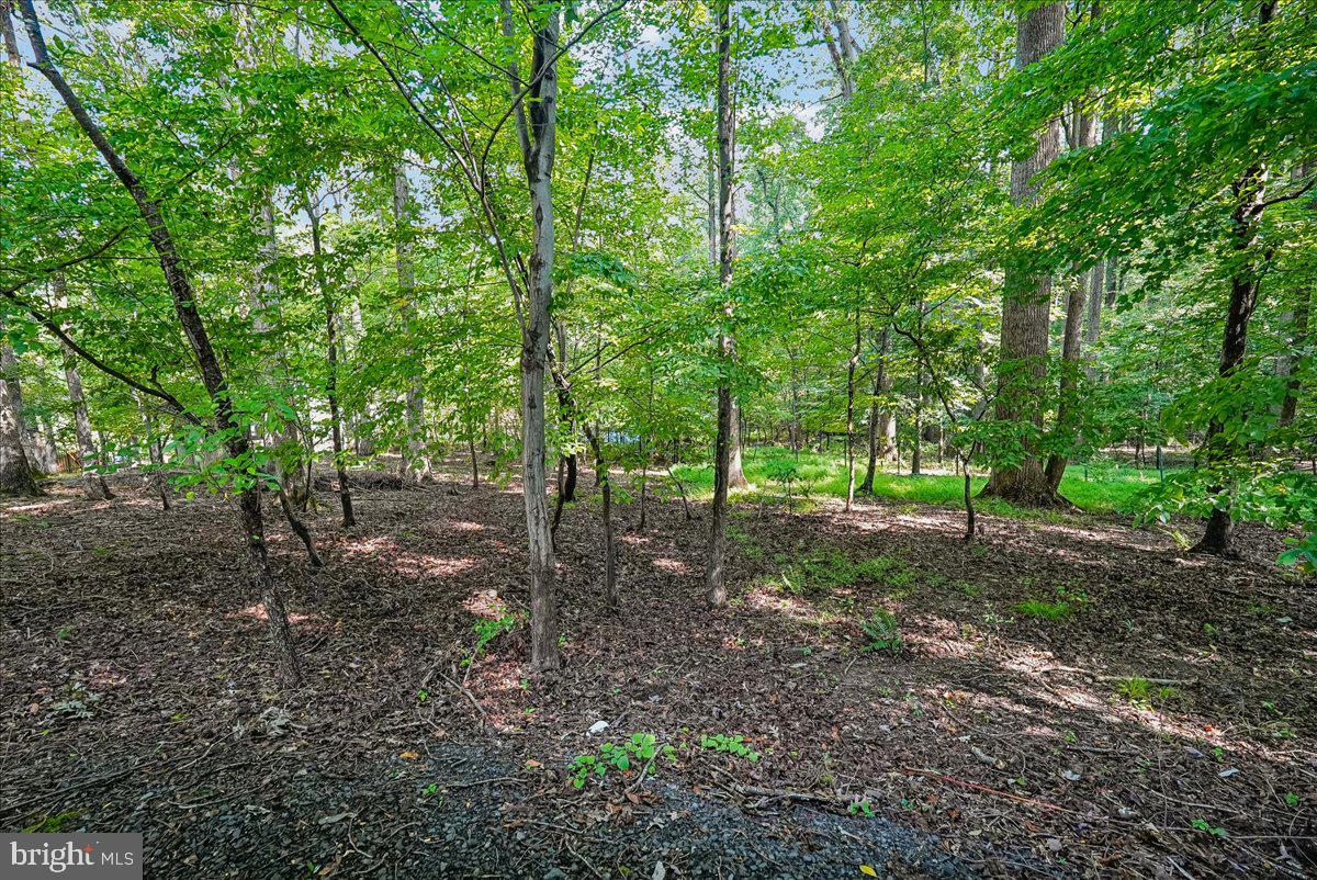 3415 Miller Heights Rd Property Photo 82