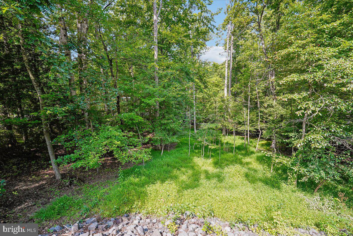 3415 Miller Heights Rd Property Photo 83