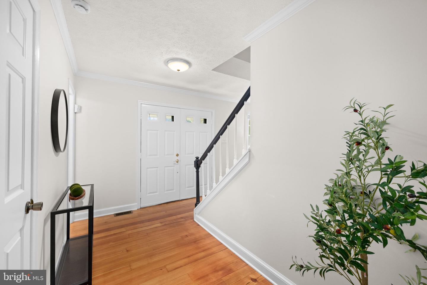 6520 White Post Rd Property Photo 22