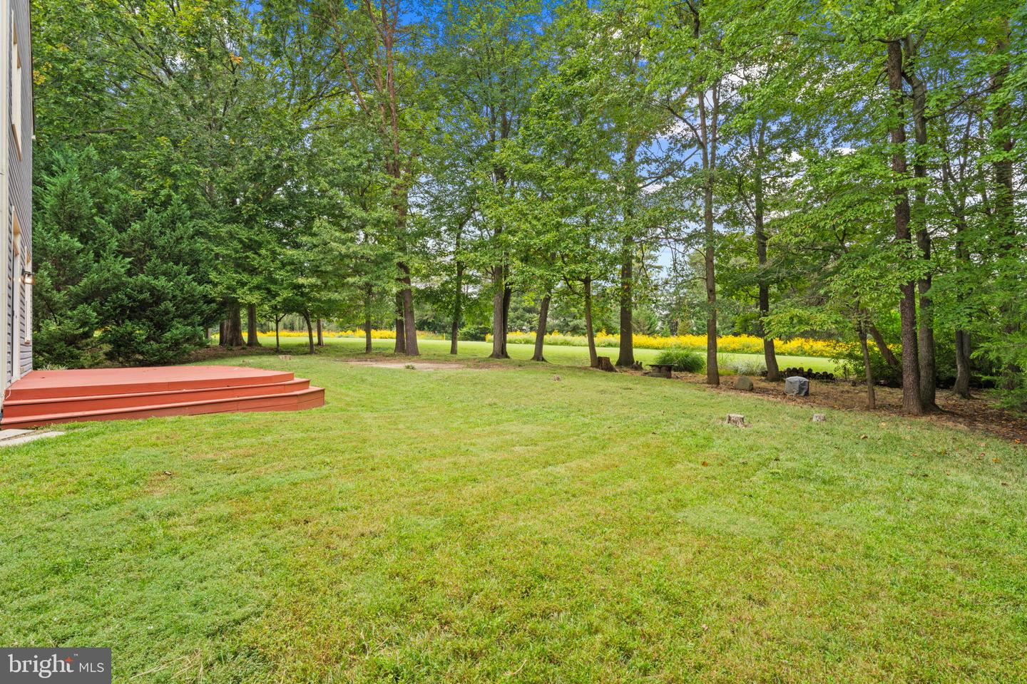 6414 Bromfield Trce Property Photo 38