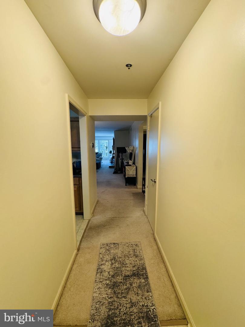 10248 Appalachian Cir #1-b1 Property Photo 20
