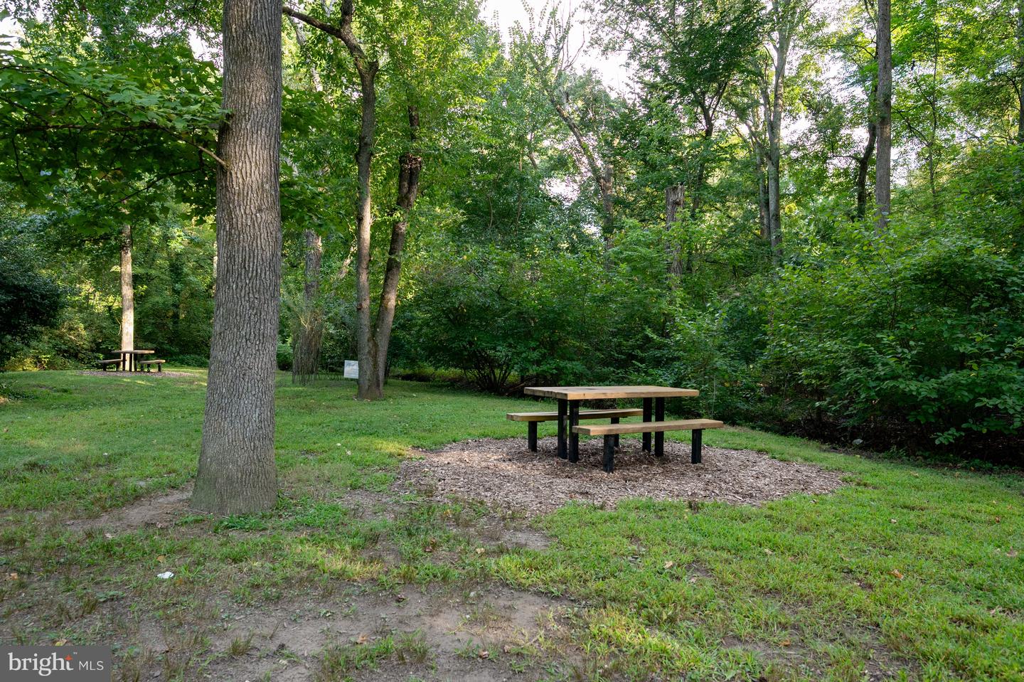 2305 Glasgow Rd Property Photo 67