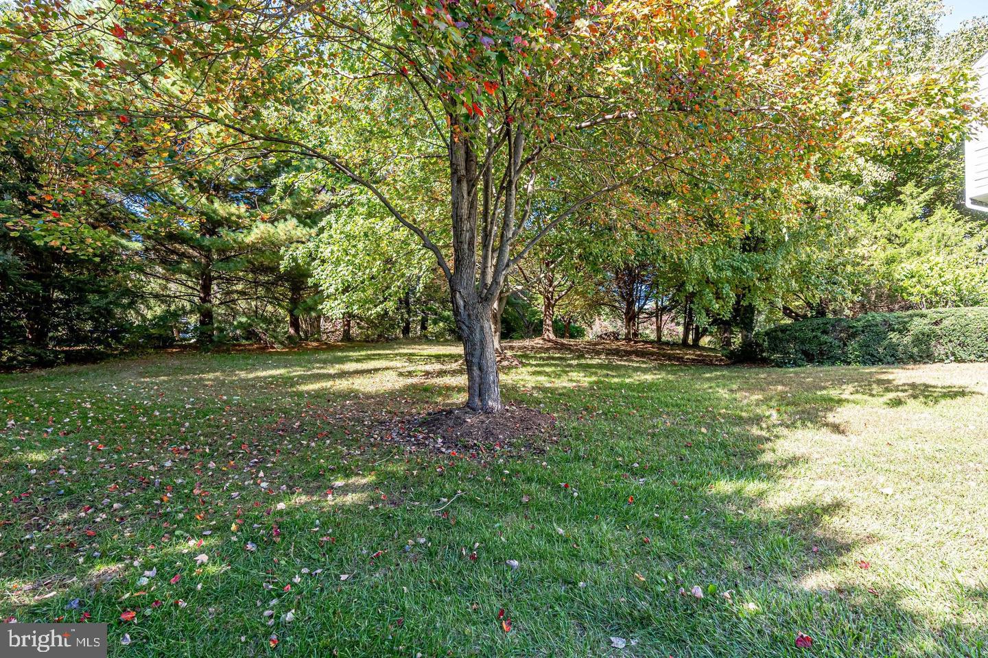 1168 Taji Ct Property Photo 81