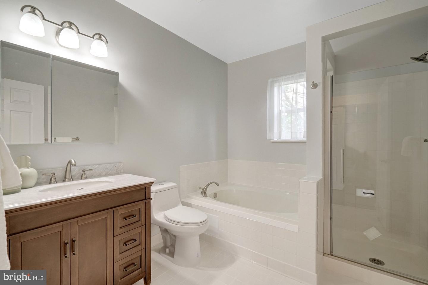 6990 Falls Reach Dr #301 Property Photo 28