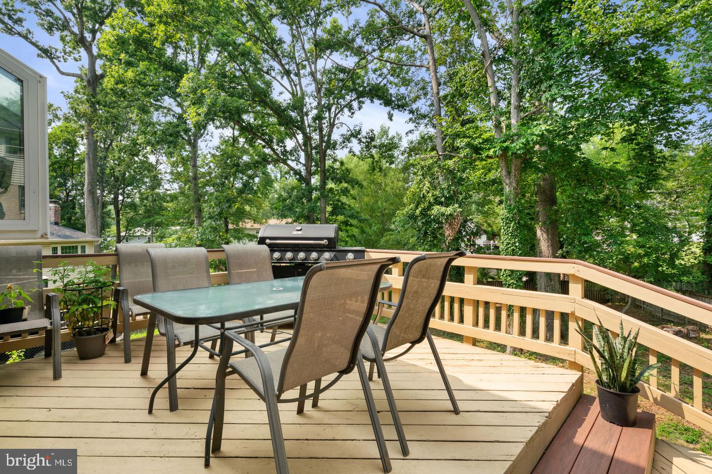 9202 Setter Pl Property Photo 48