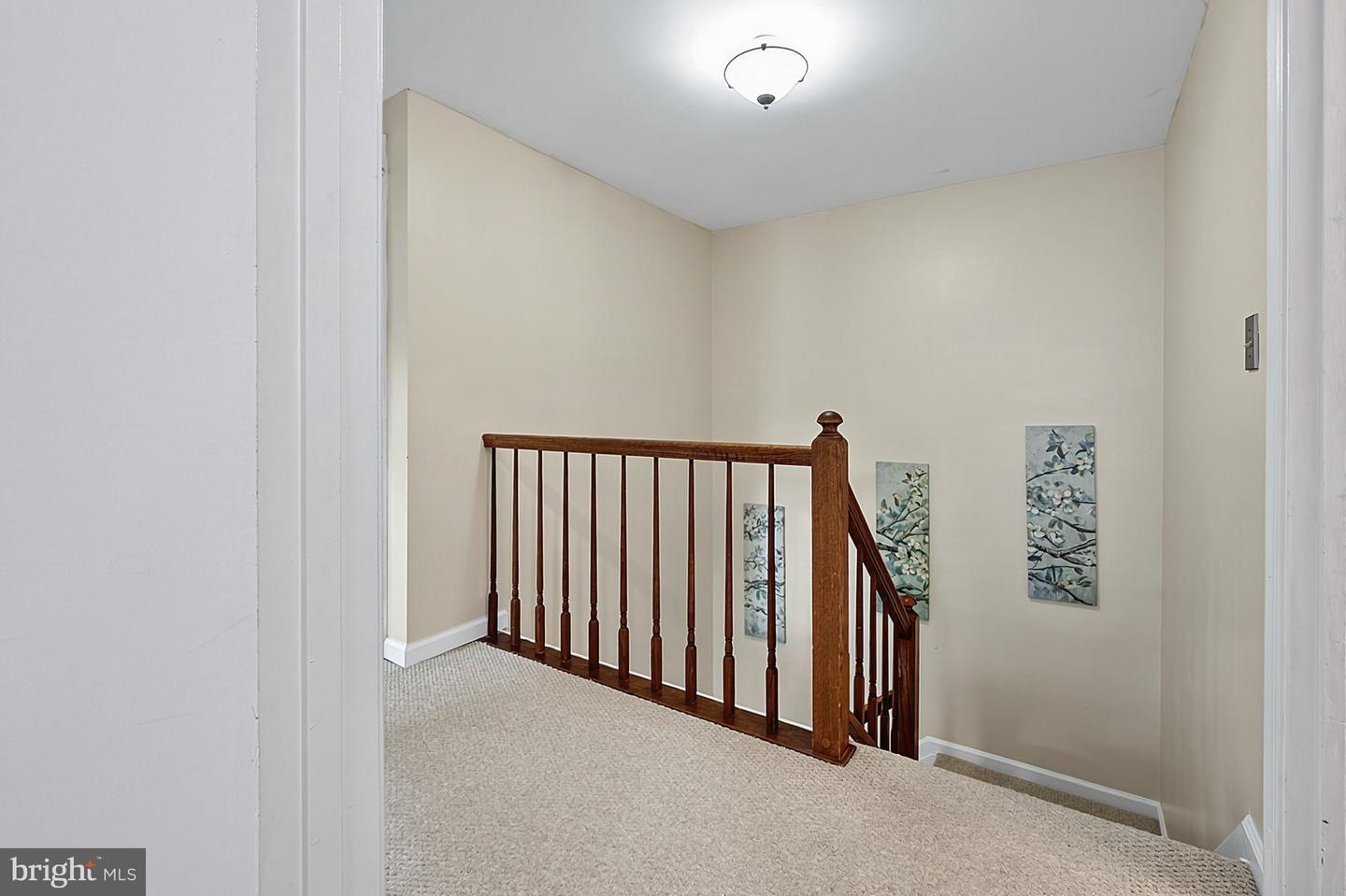 10008 Beacon Pond Ln Property Photo 34