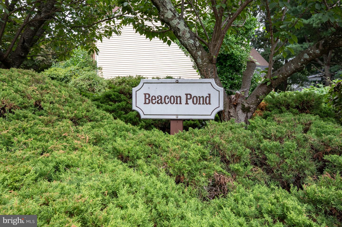 10008 Beacon Pond Ln Property Photo 65