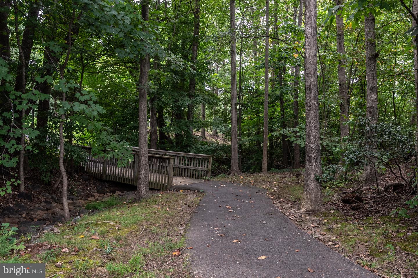 10008 Beacon Pond Ln Property Photo 67