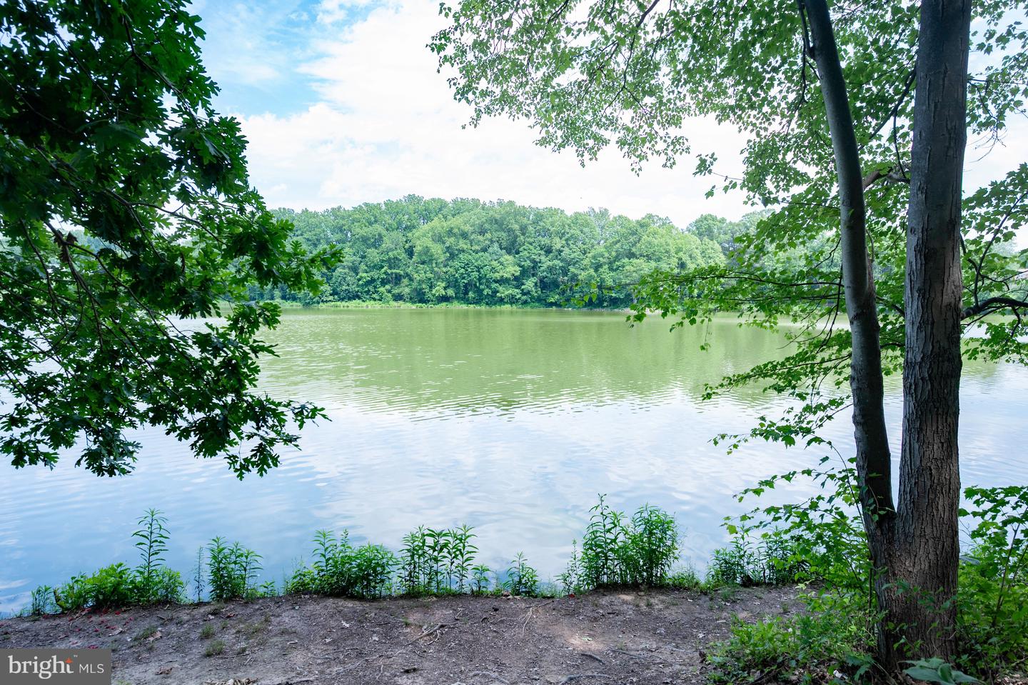 10008 Beacon Pond Ln Property Photo 69