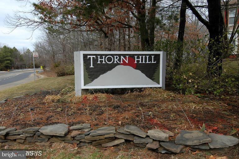 11906 Fieldthorn Ct Property Photo 18