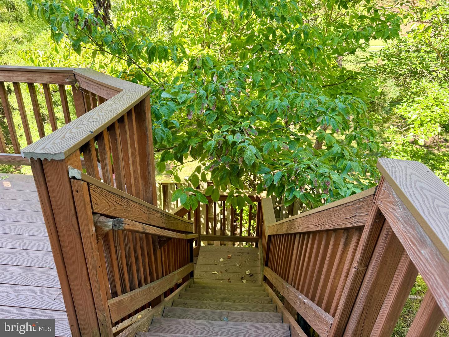 13244 Coppermill Dr Property Photo 15