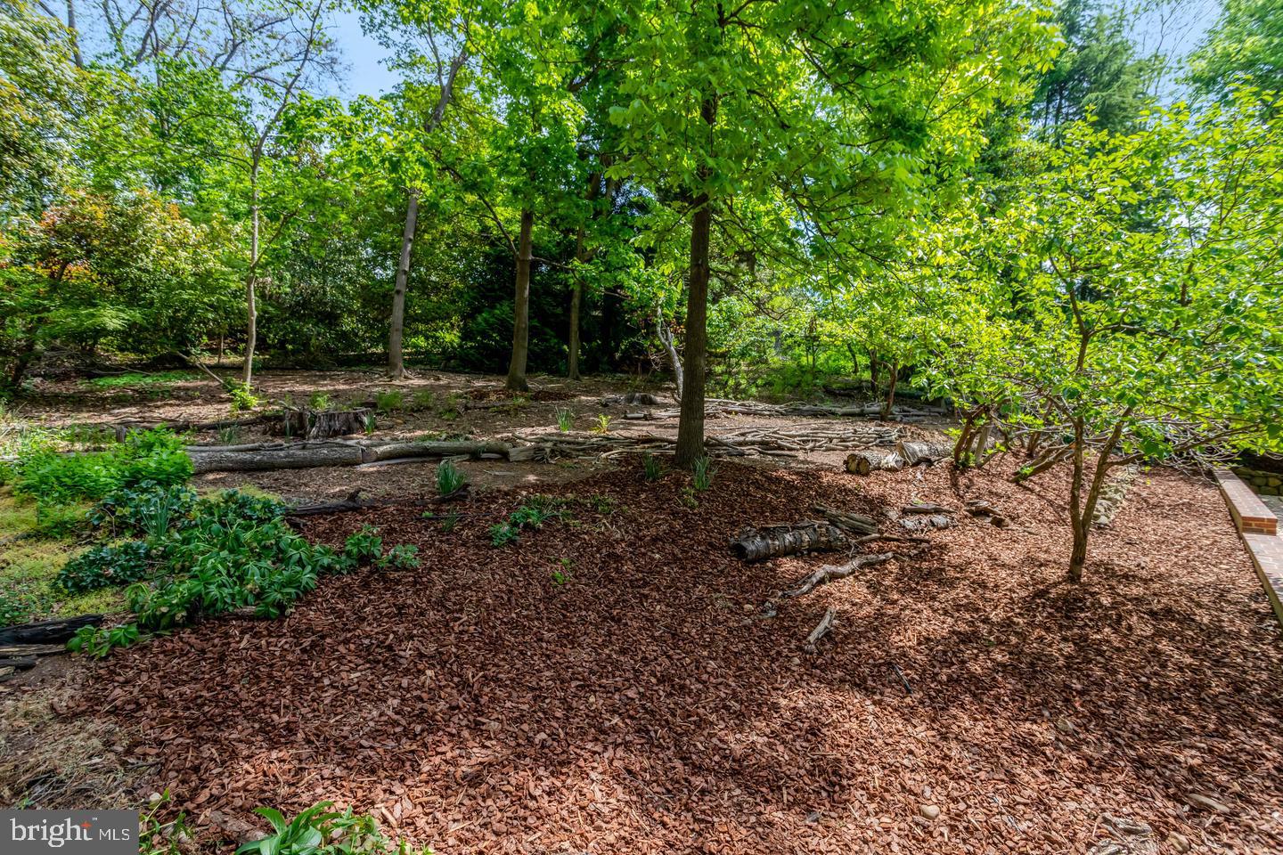 7413 Rebecca Dr Property Photo 63