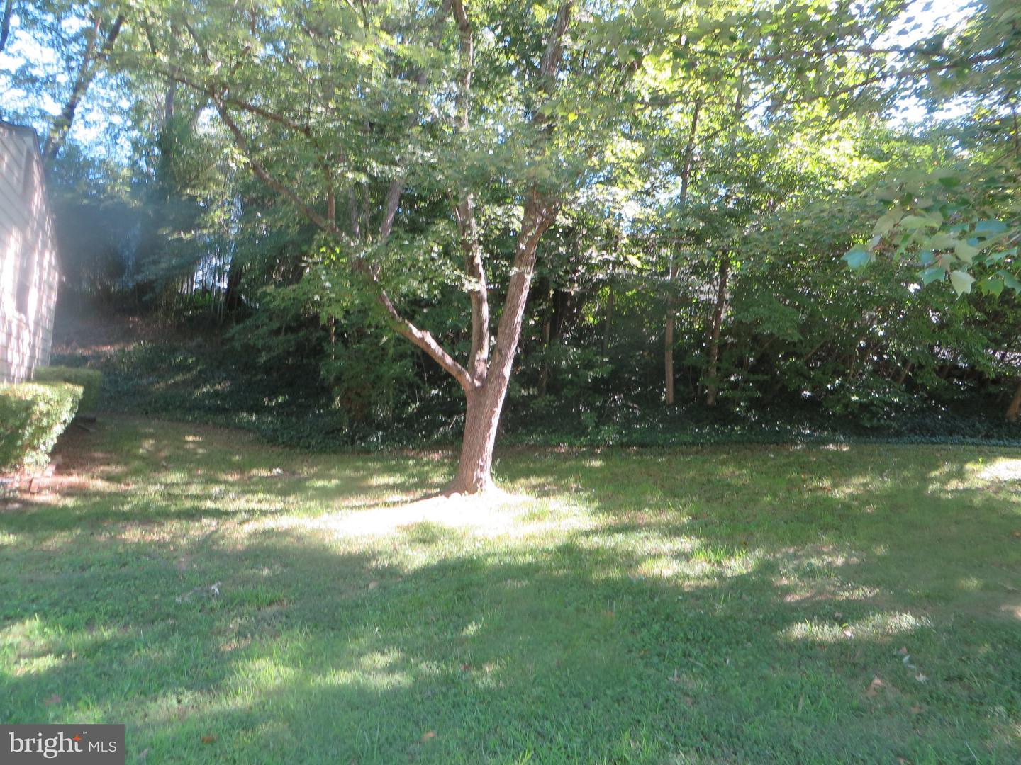 7906 Orange Plank Rd Property Photo 28