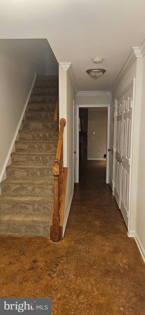 9346 Mccarthy Woods Ct Property Photo 2