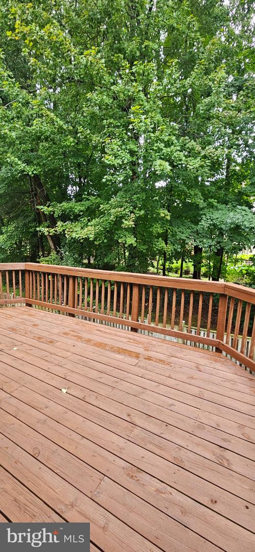 9346 Mccarthy Woods Ct Property Photo 10