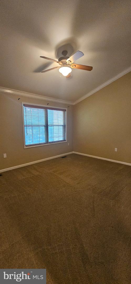 9346 Mccarthy Woods Ct Property Photo 15