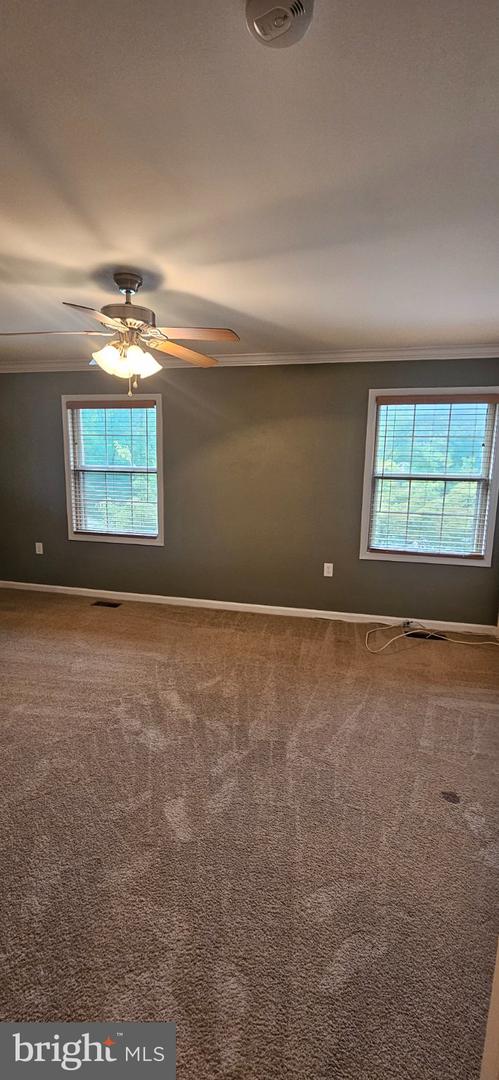 9346 Mccarthy Woods Ct Property Photo 19