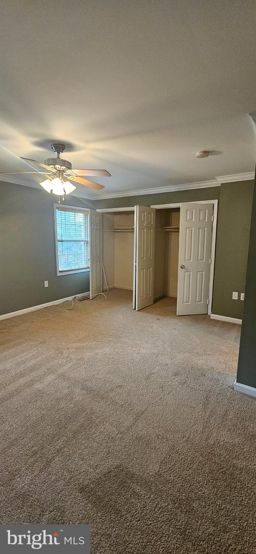 9346 Mccarthy Woods Ct Property Photo 20