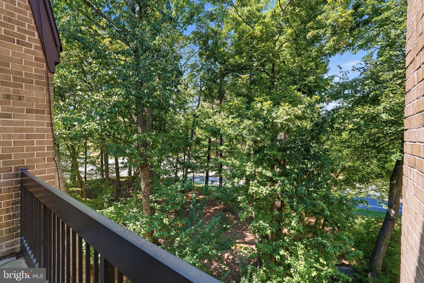 11559 Rolling Green Ct #300 Property Photo 24