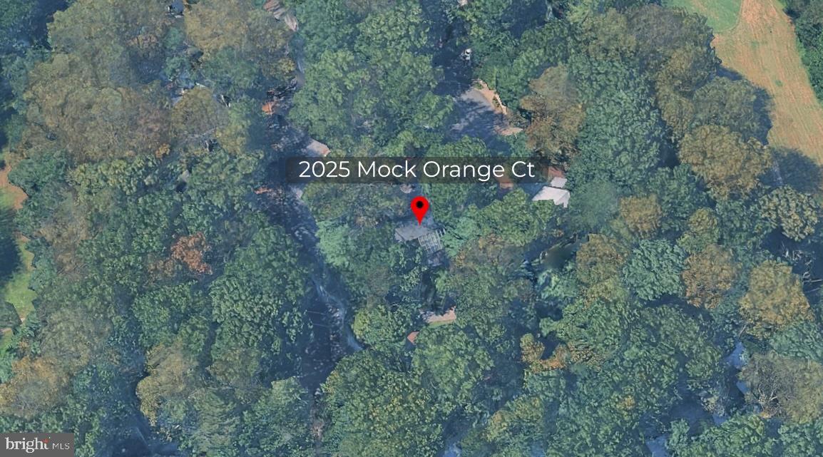 2025 Mock Orange Ct Property Photo 47