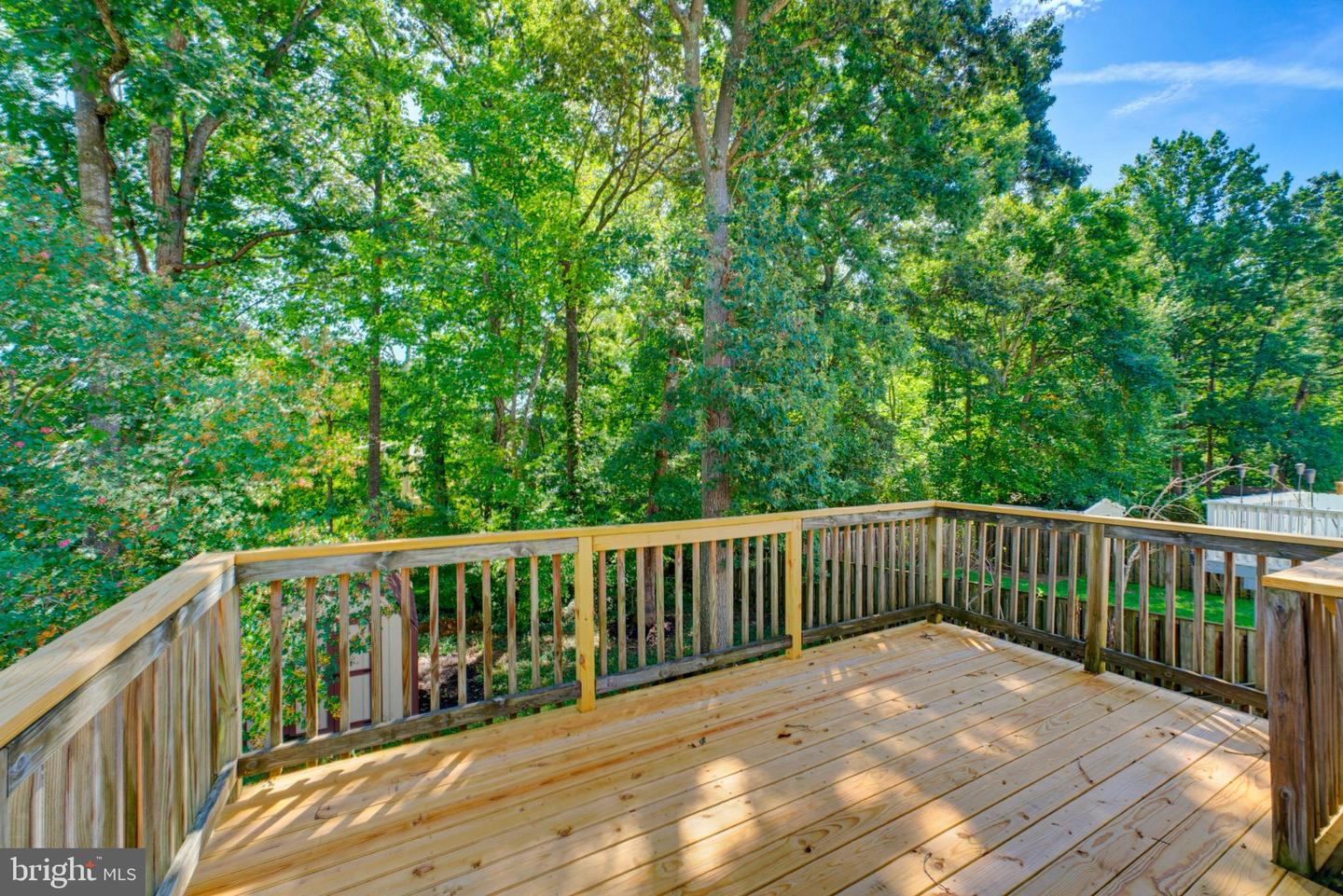 8467 Magic Tree Ct Property Photo 48