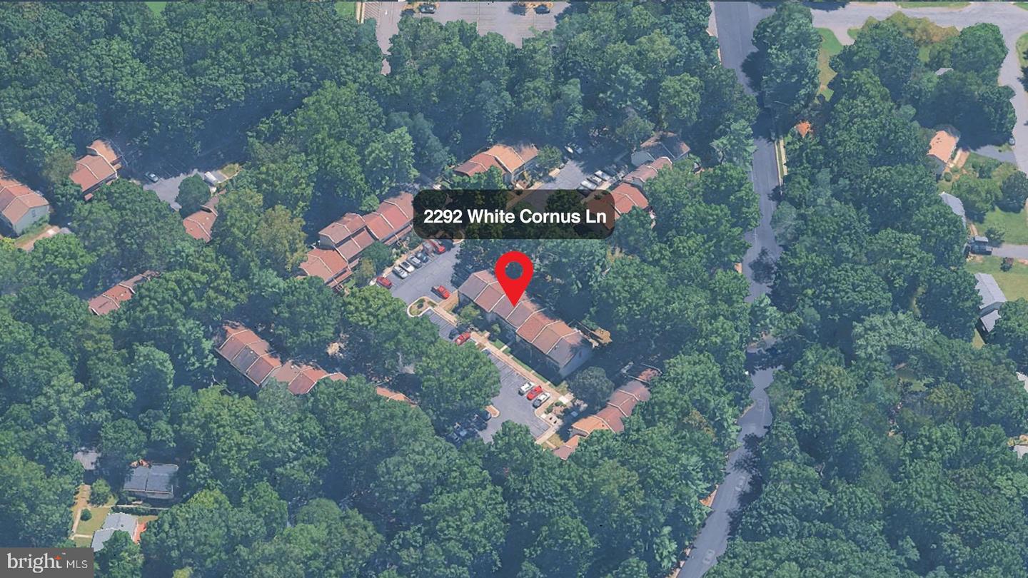 2292 White Cornus Ln Property Photo 7