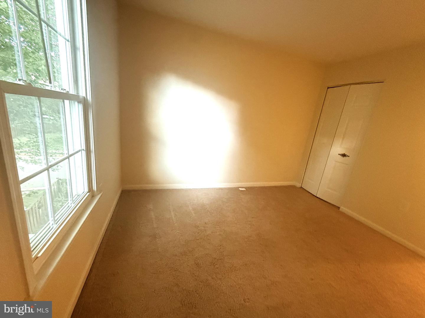 10313 Latney Rd Property Photo 27