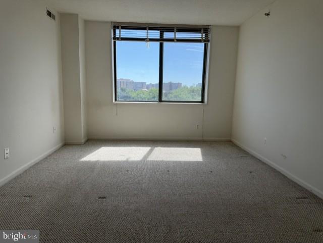 3713 S George Mason Dr S #704 Property Photo 15