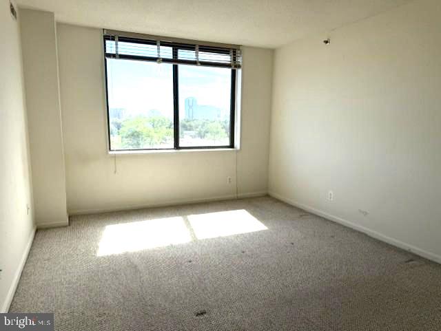 3713 S George Mason Dr S #704 Property Photo 16