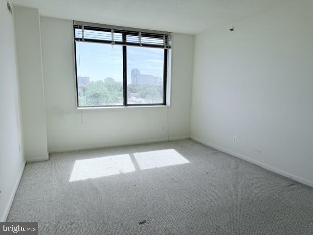 3713 S George Mason Dr S #704 Property Photo 16