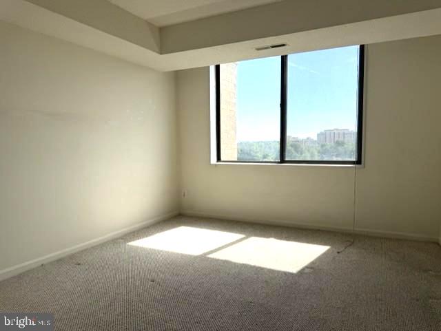 3713 S George Mason Dr S #704 Property Photo 18