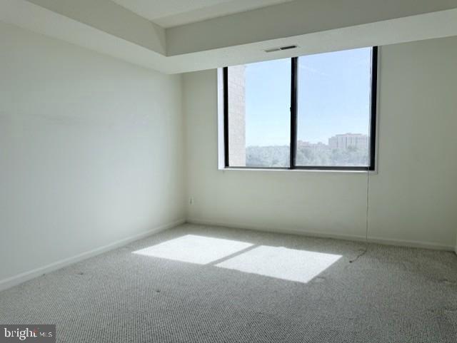 3713 S George Mason Dr S #704 Property Photo 20
