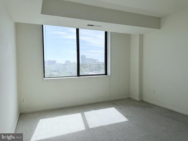 3713 S George Mason Dr S #704 Property Photo 21