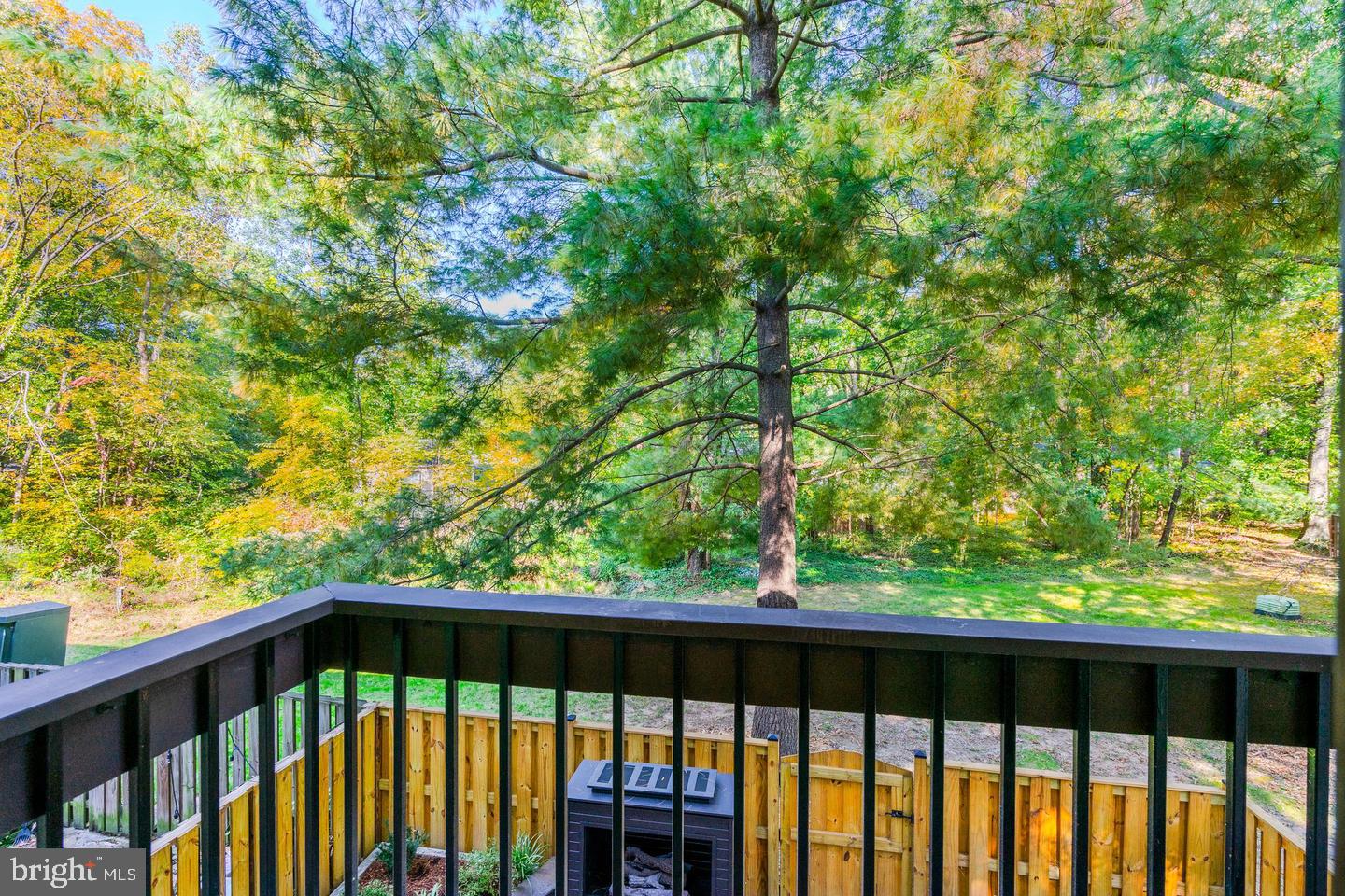 2246 White Cornus Ln Property Photo 29