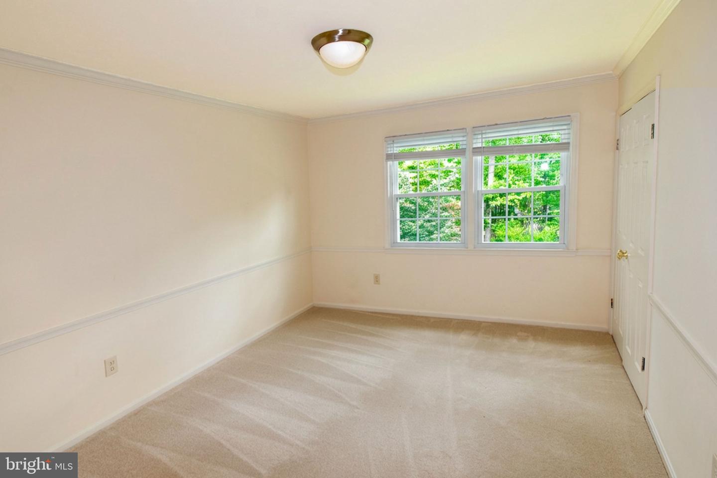 11502 Purple Beech Dr Property Photo 41