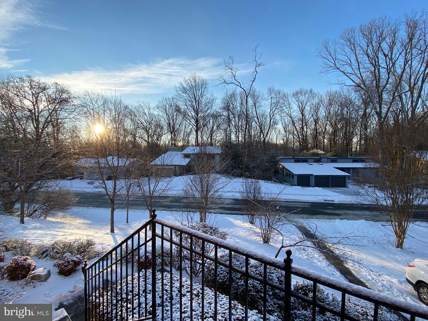 11502 Purple Beech Dr Property Photo 54