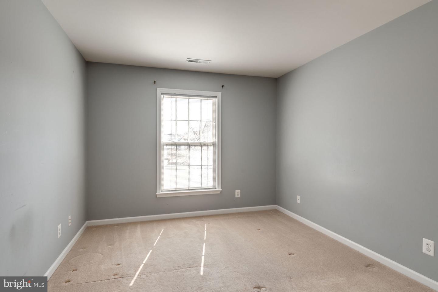 12844 Williams Meadow Ct Property Photo 29