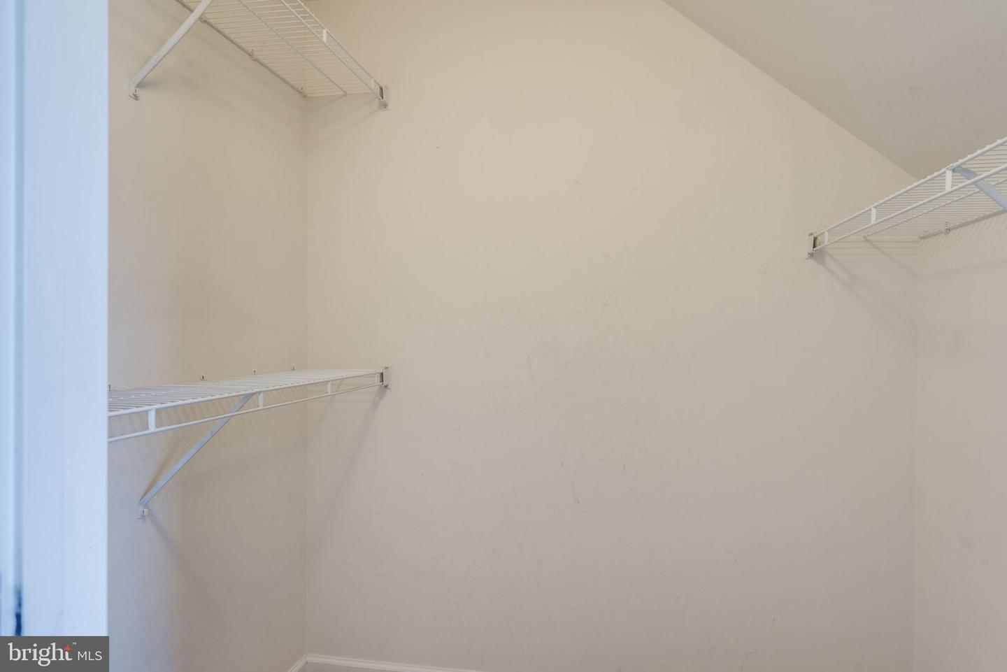 12844 Williams Meadow Ct Property Photo 31