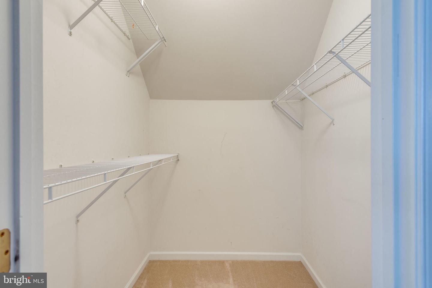 12844 Williams Meadow Ct Property Photo 36