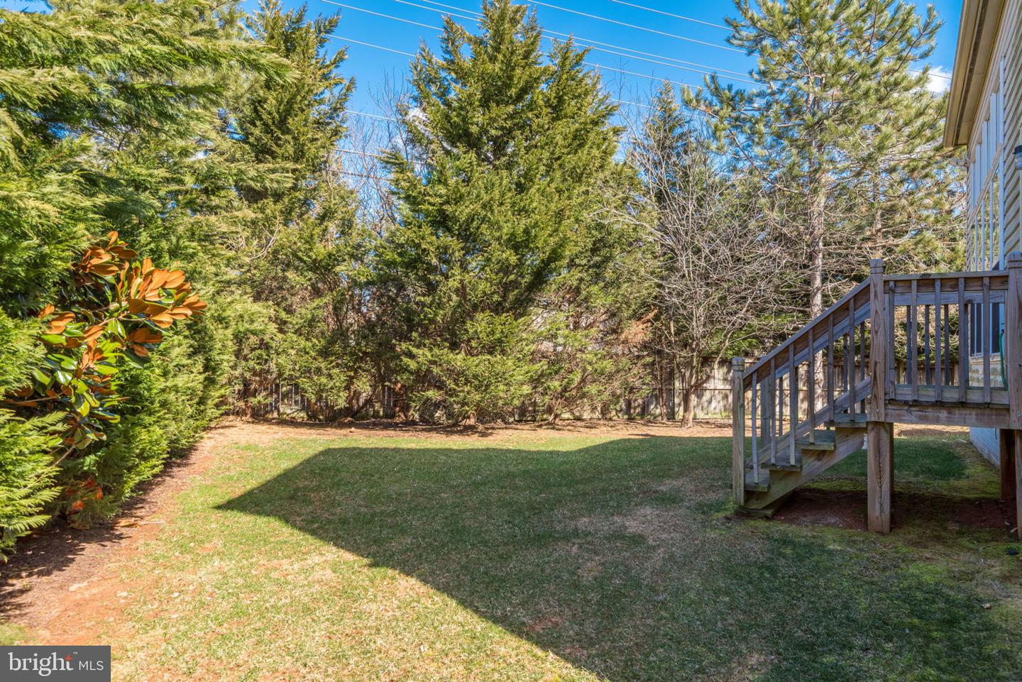 12844 Williams Meadow Ct Property Photo 41