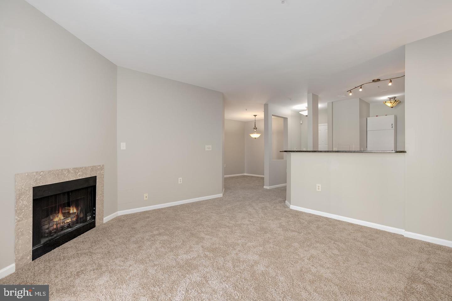12919 ALTON SQ #308 Property Photo 1
