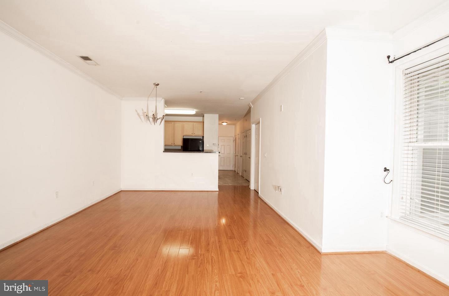 3820 Lightfoot St #115 Property Photo 6