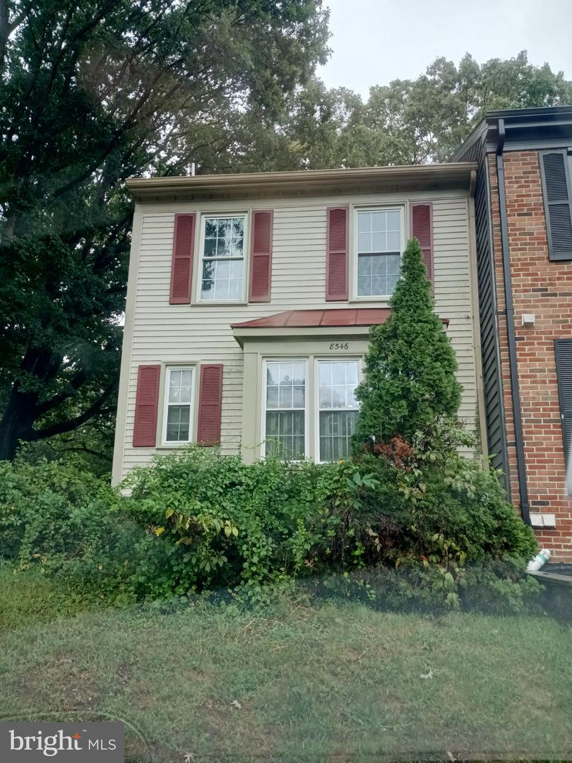8546 SPRINGFIELD OAKS DR Property Photo 1
